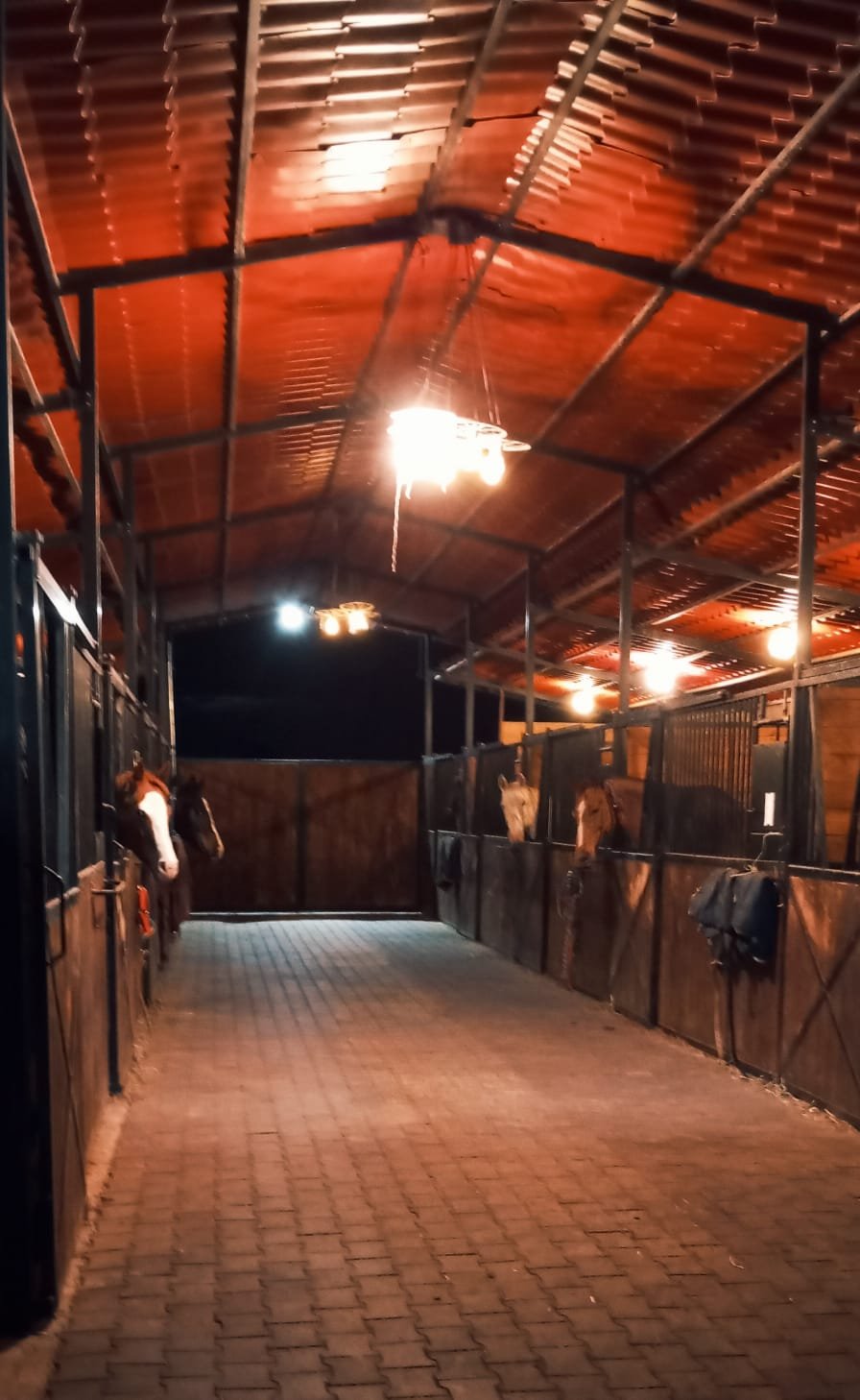 caballerizas