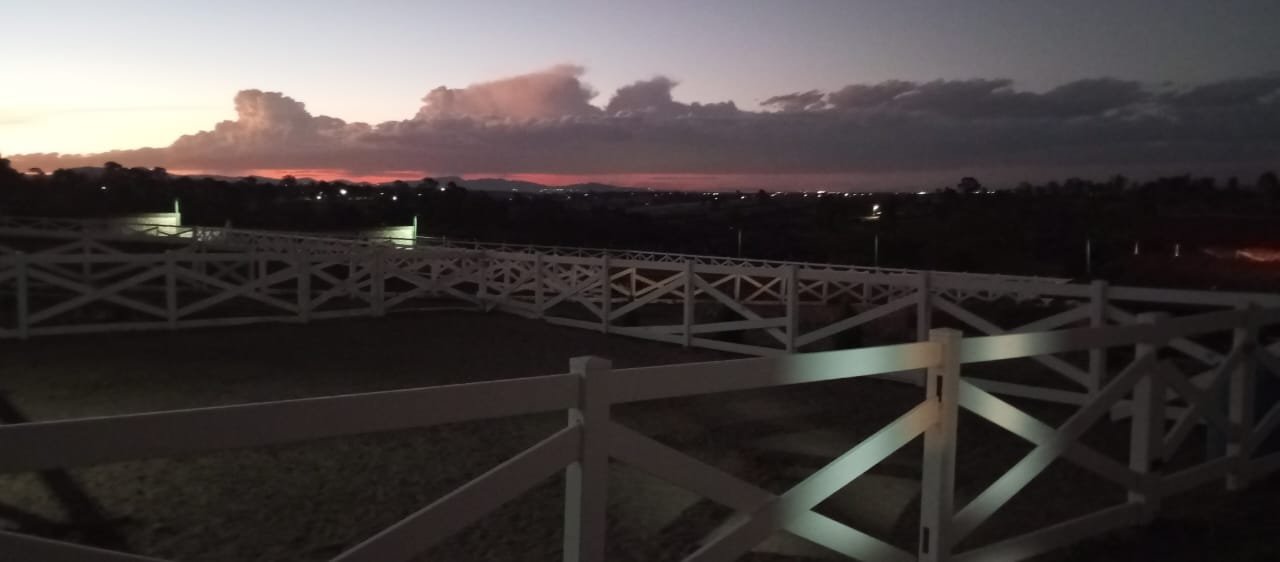 campo en el atardecer