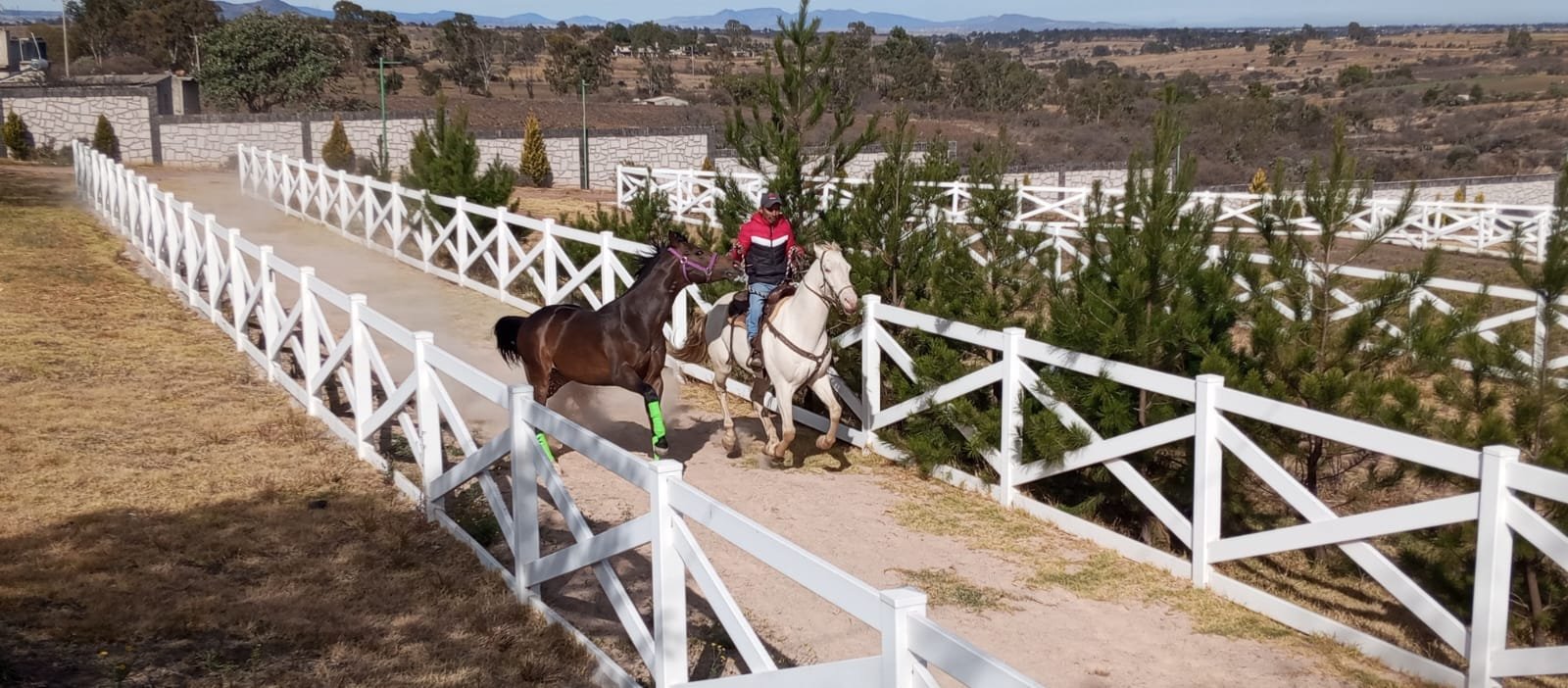 carril de trabajo para caballos