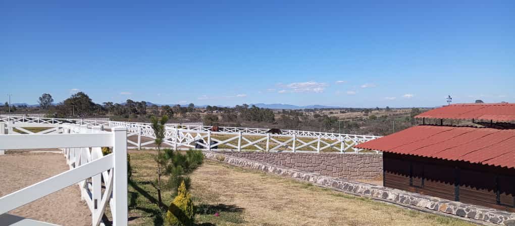 campo